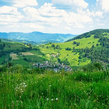 Charmante Neuenweg Hirsch Дом отдыха *